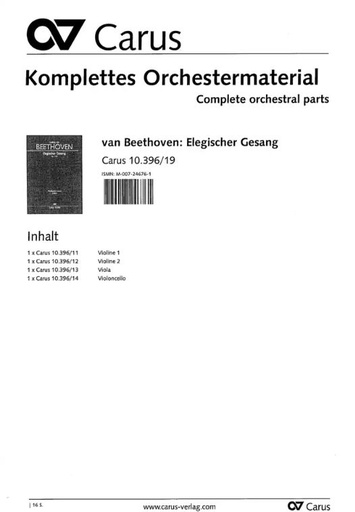 [317061] Elegischer Gesang, op. 118